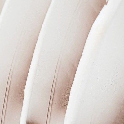 Crema Viso Nutriente Endro Cosmétiques | Volo di Fiori EcoBio Distribuzione