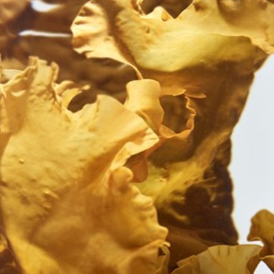 Duo Anti-macchie de Biarritz — Siero e Crema Notte Bio | Volo di Fiori