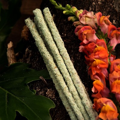 Incenso Botanico Fresia Sagrada Madre | Eco Bio Distribuzione Ingrosso B2B