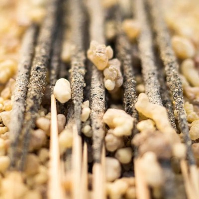 Incenso Naturale Olibano Sagrada Madre | Ingrosso B2B