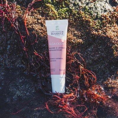 Balsamo Labbra Riparatore CICA REPA Bio Laboratoires de Biarritz | Volo di Fiori EcoBio Distribuzione