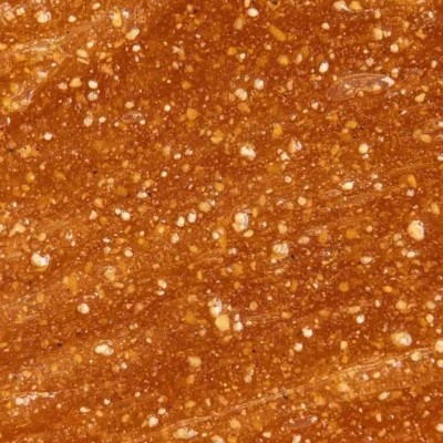 Scrub in Olio Bio Océane Laboratoires de Biarritz | Volo di Fiori EcoBio Distribuzione