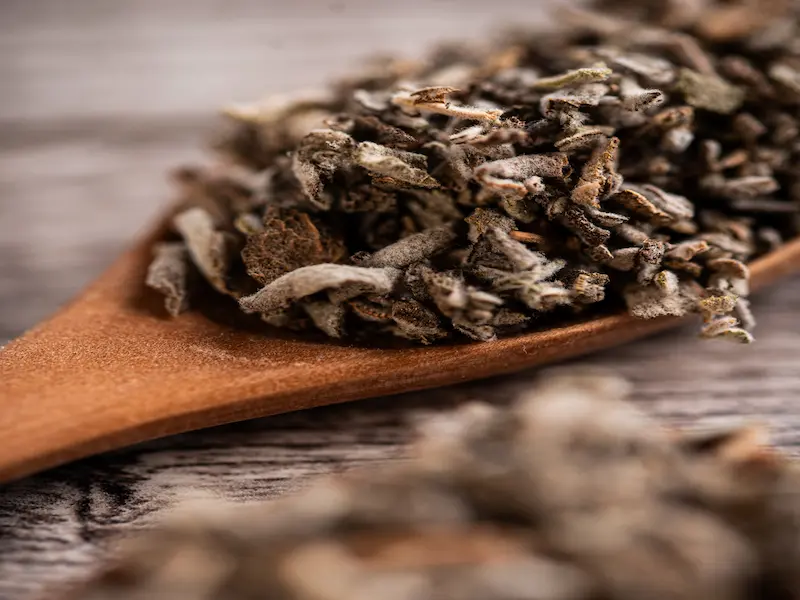 Salvia Bianca, Lavanda, Rosmarino e altre erbe aromatiche utilizzate negli incensi Sagrada Madre